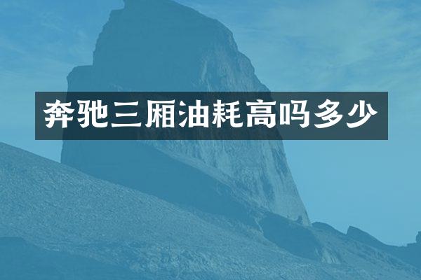 奔驰三厢油耗高吗多少