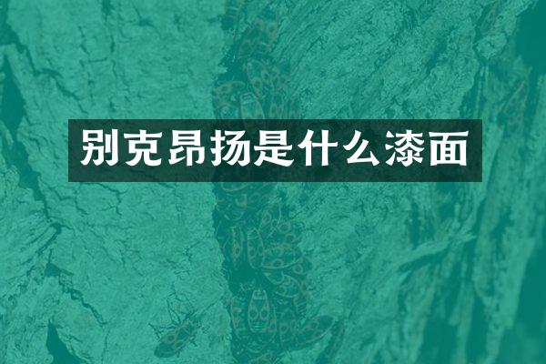 别克昂扬是什么漆面