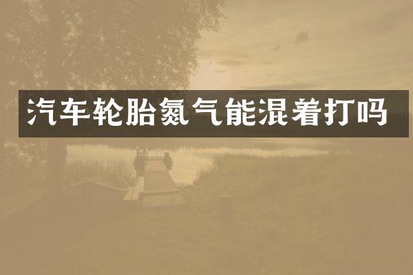 汽车轮胎氮气能混着打吗