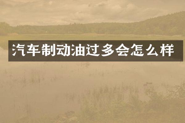 汽车制动油过多会怎么样