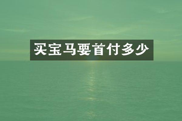 买宝马要首付多少