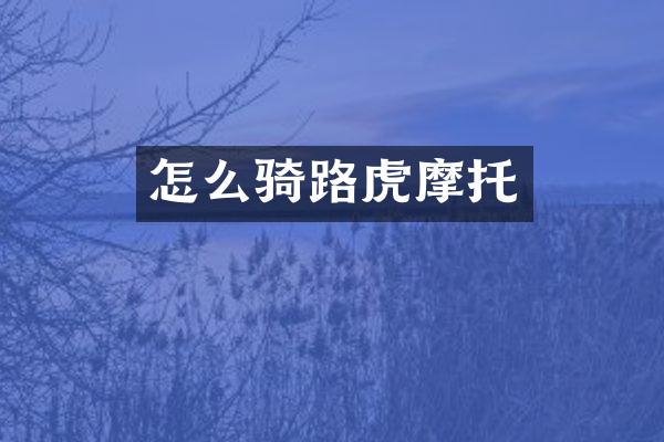 怎么骑路虎摩托