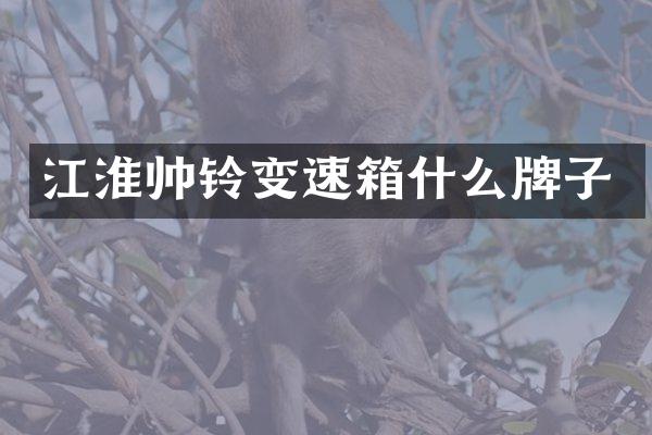 江淮帅铃变速箱什么牌子