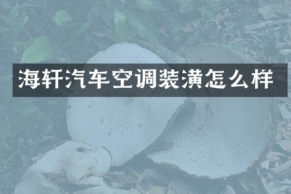 海轩汽车空调装潢怎么样