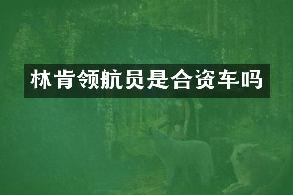 林肯领航员是合资车吗