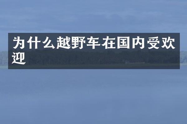 为什么越野车在国内受欢迎