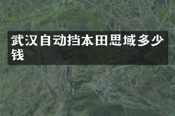 武汉自动挡本田思域多少钱