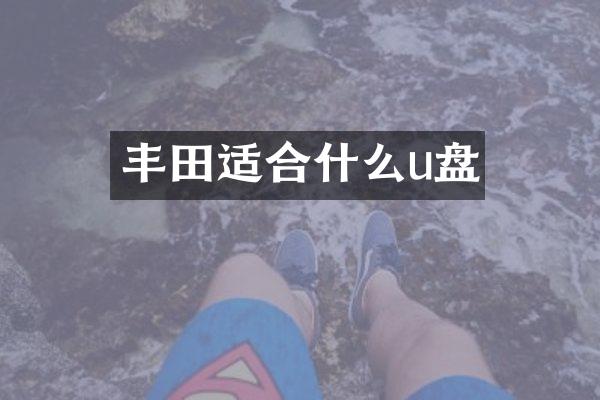 丰田适合什么u盘