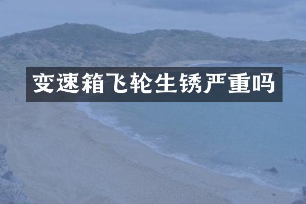 变速箱飞轮生锈严重吗