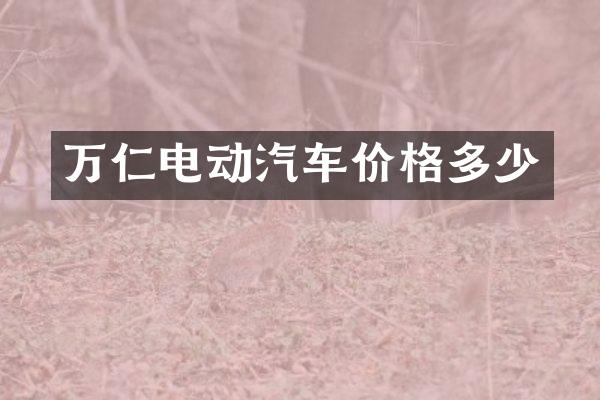 万仁电动汽车价格多少