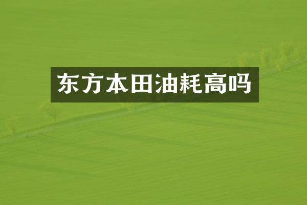 东方本田油耗高吗