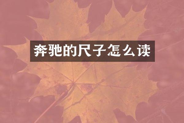 奔驰的尺子怎么读