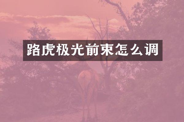 路虎极光前束怎么调