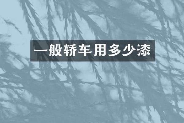 一般轿车用多少漆