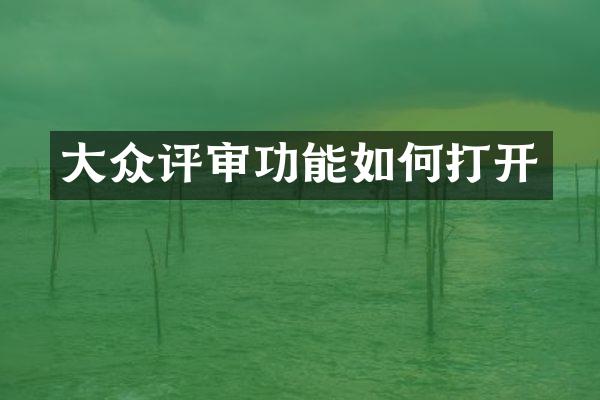 大众评审功能如何打开