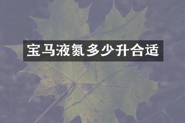 宝马液氮多少升合适