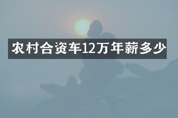 农村合资车12万年薪多少