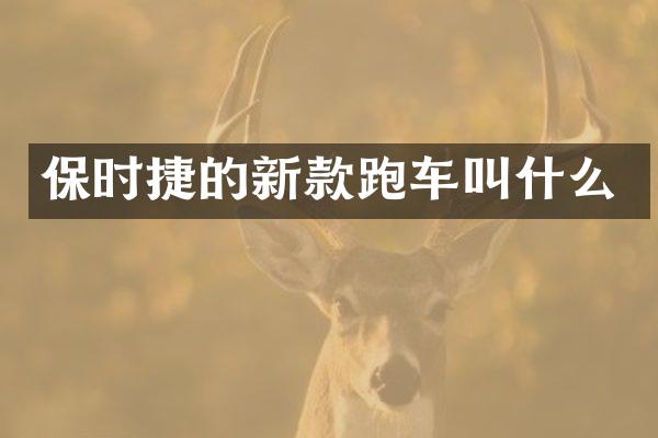 保时捷的新款跑车叫什么