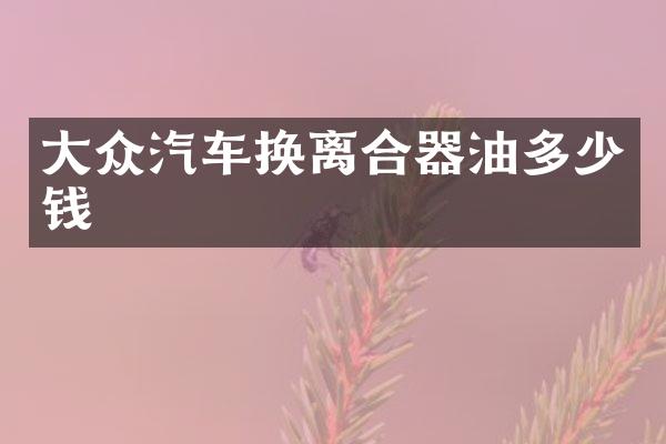 大众汽车换离合器油多少钱
