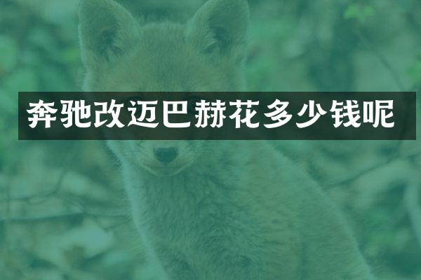 奔驰改迈巴赫花多少钱呢