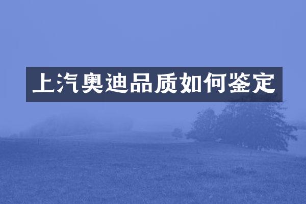 上汽奥迪品质如何鉴定