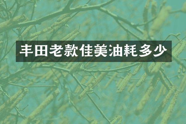 丰田老款佳美油耗多少