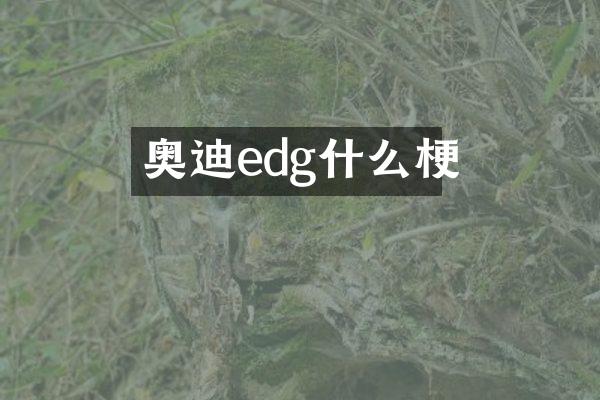 奥迪edg什么梗