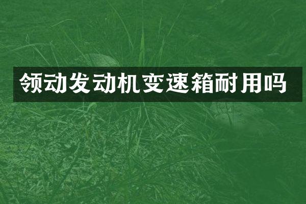 领动发动机变速箱耐用吗