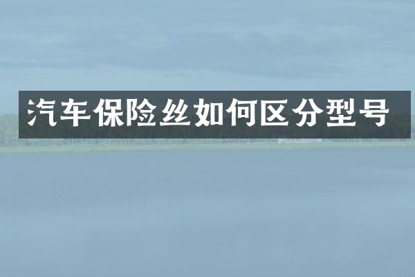 汽车保险丝如何区分型号