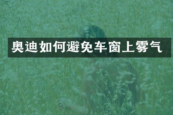 奥迪如何避免车窗上雾气