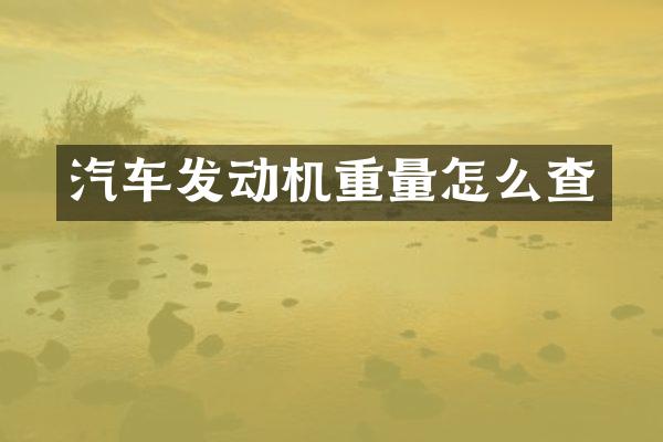 汽车发动机重量怎么查