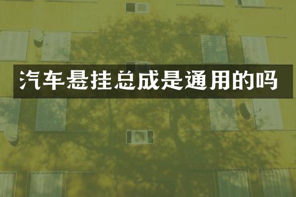汽车悬挂总成是通用的吗