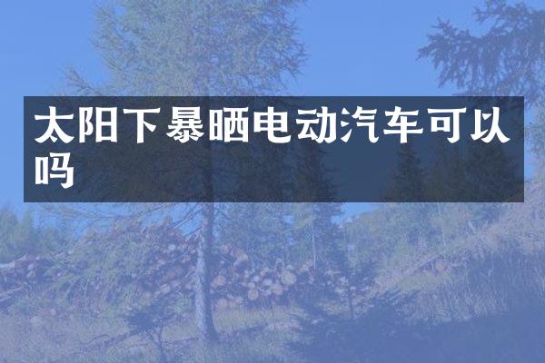太阳下暴晒电动汽车可以吗