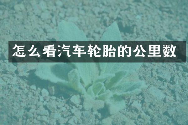 怎么看汽车轮胎的公里数