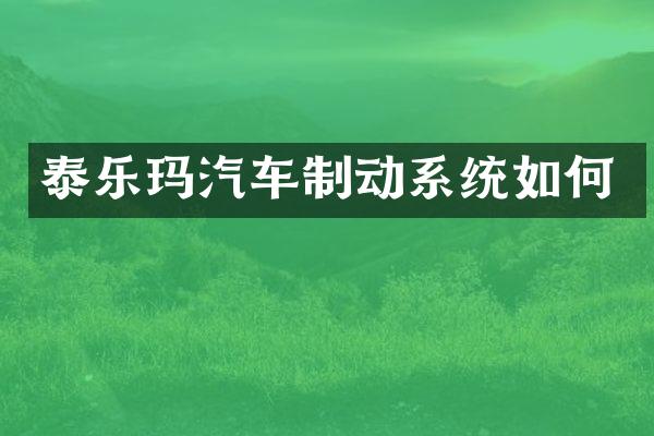 泰乐玛汽车制动系统如何
