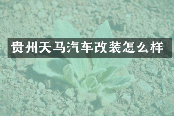 贵州天马汽车改装怎么样