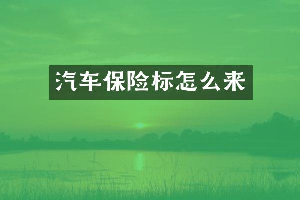 汽车保险标怎么来
