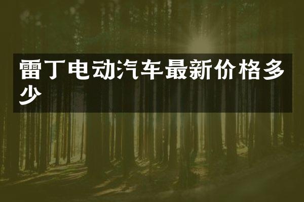 雷丁电动汽车最新价格多少