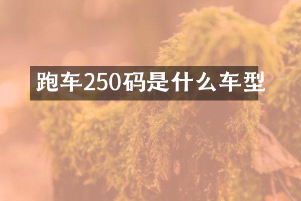 跑车250码是什么车型