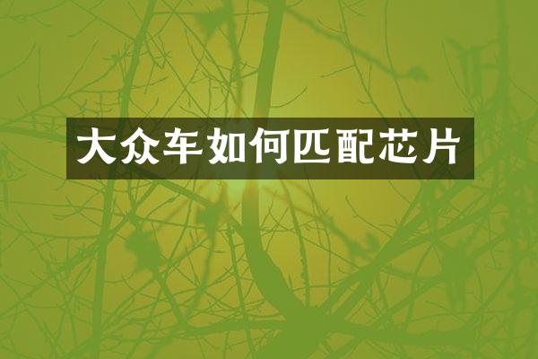 大众车如何匹配芯片