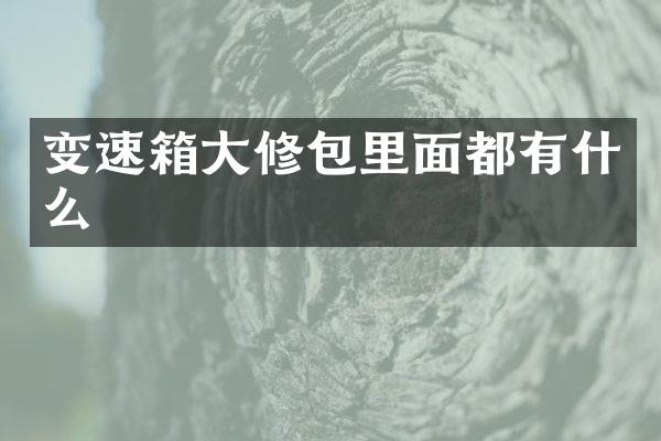 变速箱大修包里面都有什么