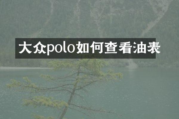 大众polo如何查看油表