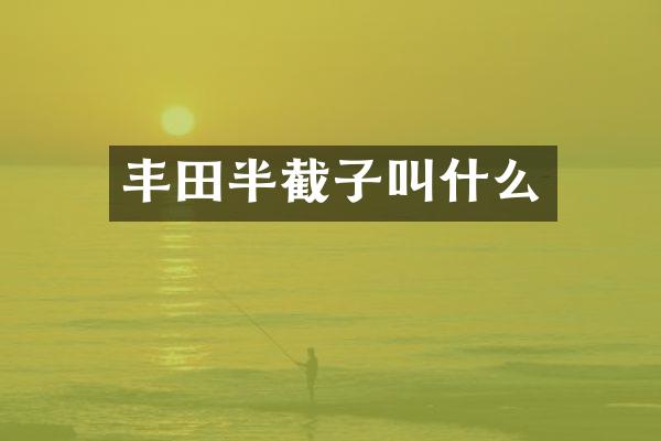 丰田半截子叫什么