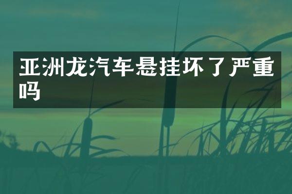 亚洲龙汽车悬挂坏了严重吗