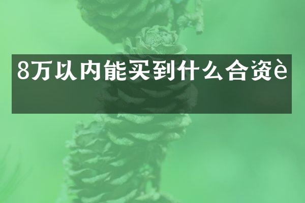 8万以内能买到什么合资车