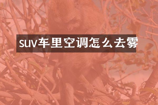 suv车里空调怎么去雾