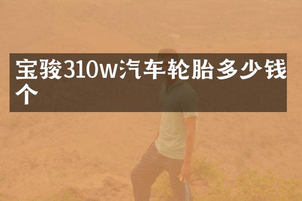 宝骏310w汽车轮胎多少钱一个