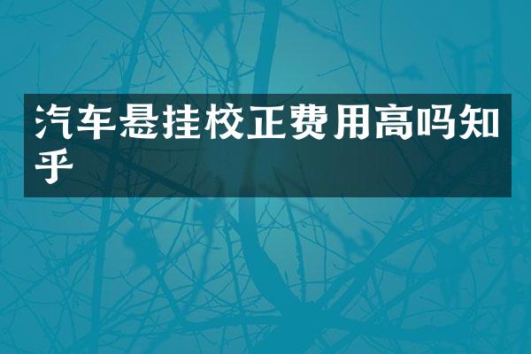 汽车悬挂校正费用高吗知乎