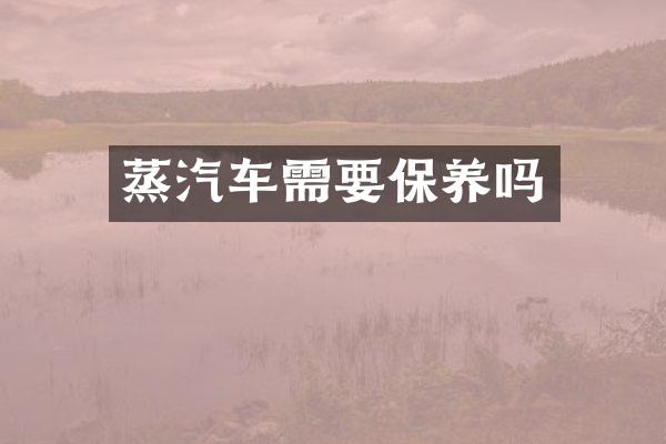 蒸汽车需要保养吗