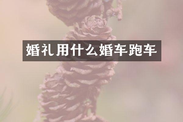 婚礼用什么婚车跑车